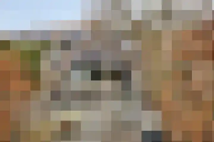 Klipper 148 Oud-Beijerland thumbnail 7