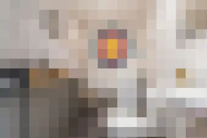 Klipper 15 Huizen thumbnail 10