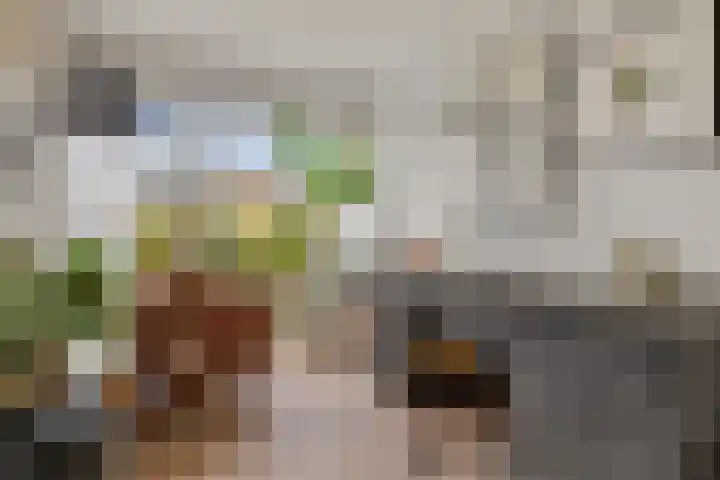 Klipper 15 Huizen thumbnail 17