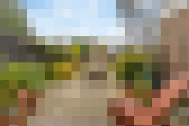 Klipper 15 Huizen thumbnail 25
