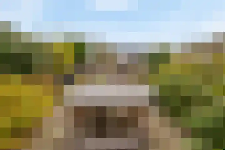Klipper 15 Huizen thumbnail 26