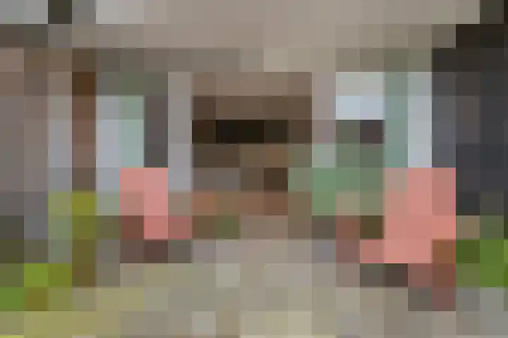 Klipper 15 Huizen thumbnail 27