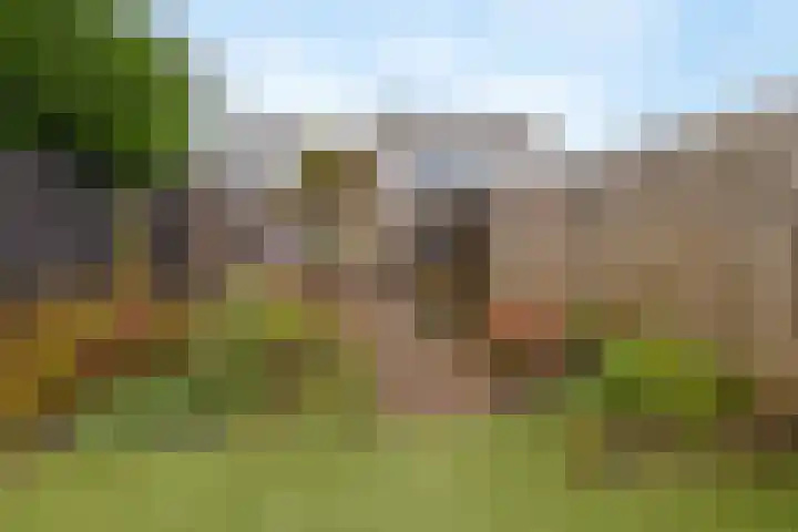 Klipper 15 Huizen thumbnail 28