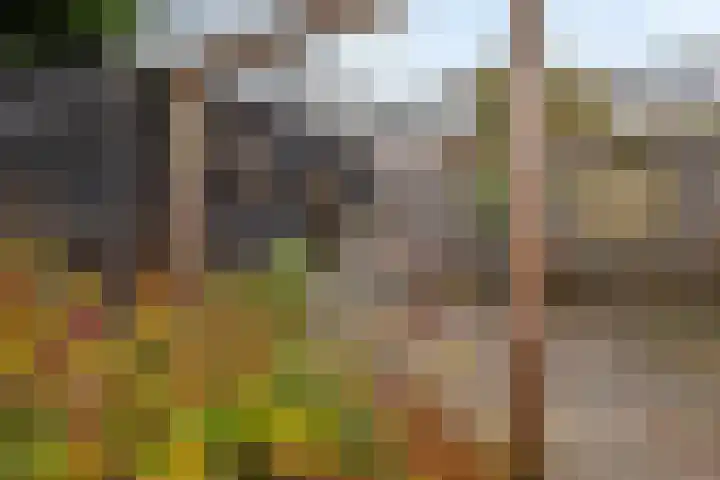 Klipper 15 Huizen thumbnail 29