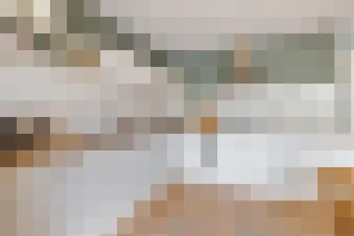 Klipper 15 Huizen thumbnail 7