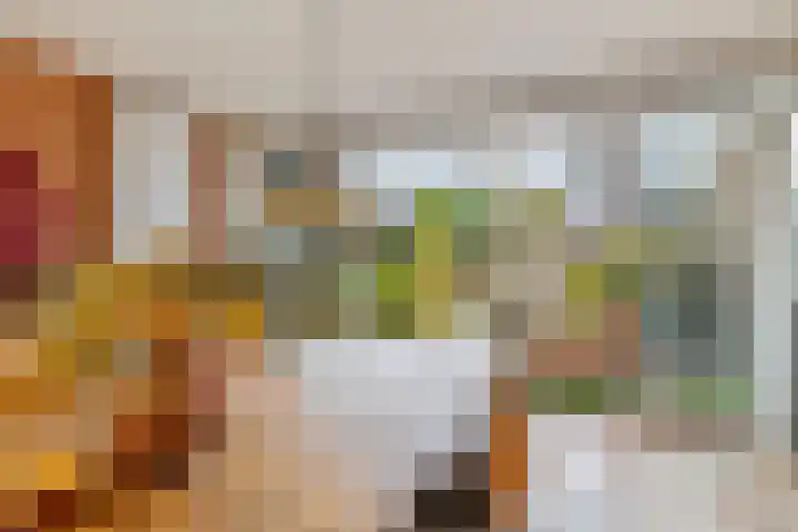 Klipper 15 Huizen thumbnail 8