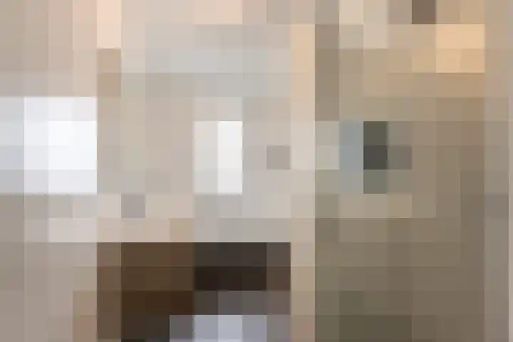 Klipper 17 a Sint-Annaland thumbnail 4