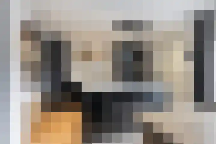 Klipper 17 Sint-Annaland thumbnail 15
