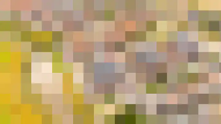 Klipper 17 Sint-Annaland thumbnail 40