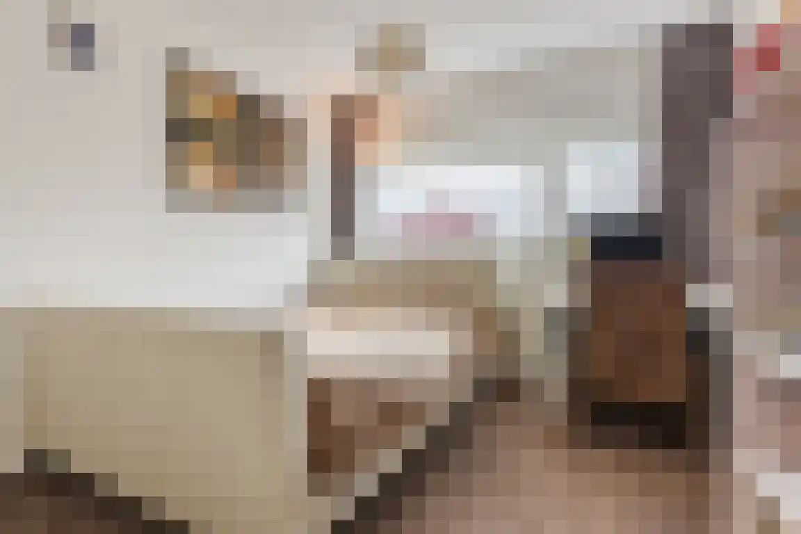 Klipper 19 Bergen op Zoom thumbnail 16