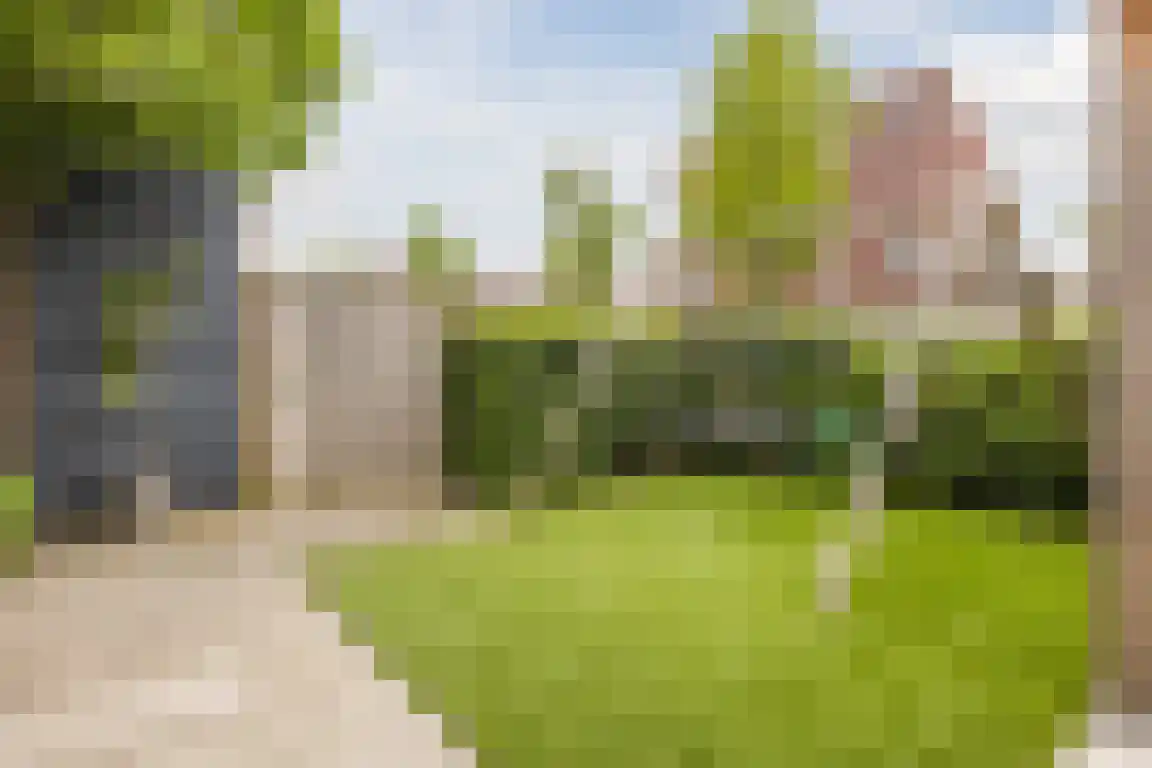 Klipper 19 Bergen op Zoom thumbnail 32