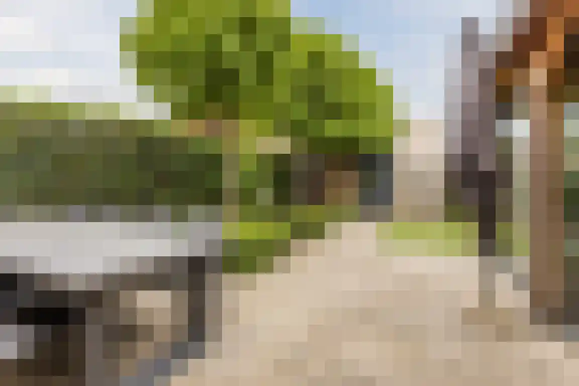 Klipper 19 Bergen op Zoom thumbnail 33