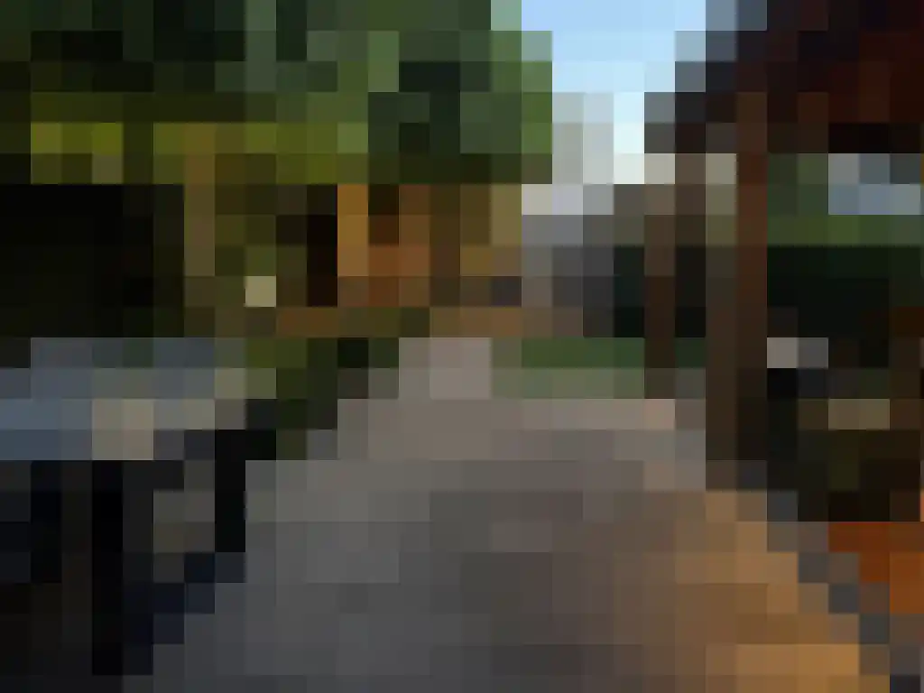 Klipper 19 Bergen op Zoom thumbnail 35