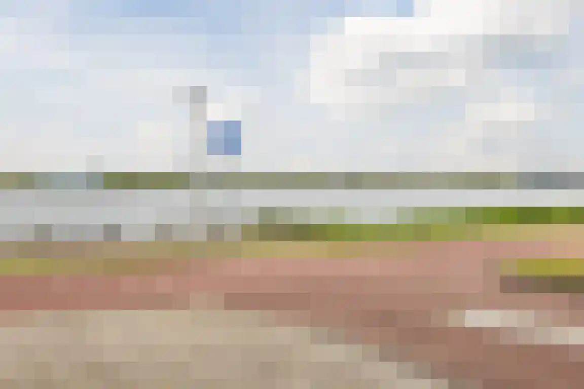 Klipper 19 Bergen op Zoom thumbnail 39