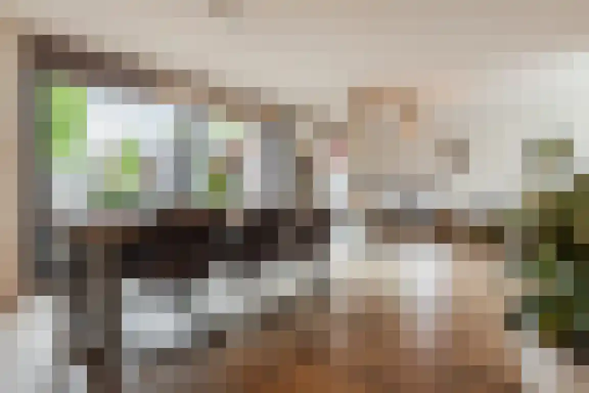 Klipper 19 Bergen op Zoom thumbnail 6