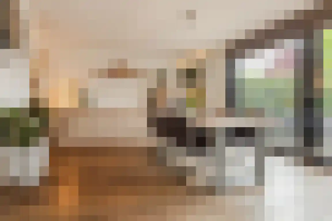Klipper 19 Bergen op Zoom thumbnail 7