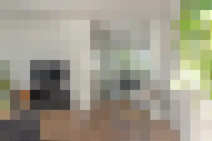 Klipper 2 Franeker thumbnail 12