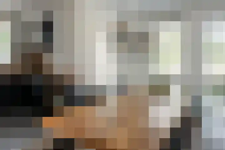 Klipper 2 Franeker thumbnail 13