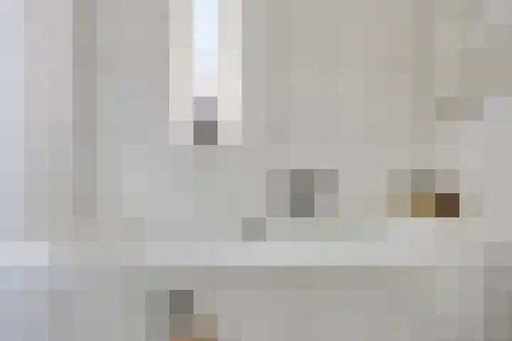 Klipper 2 Franeker thumbnail 25