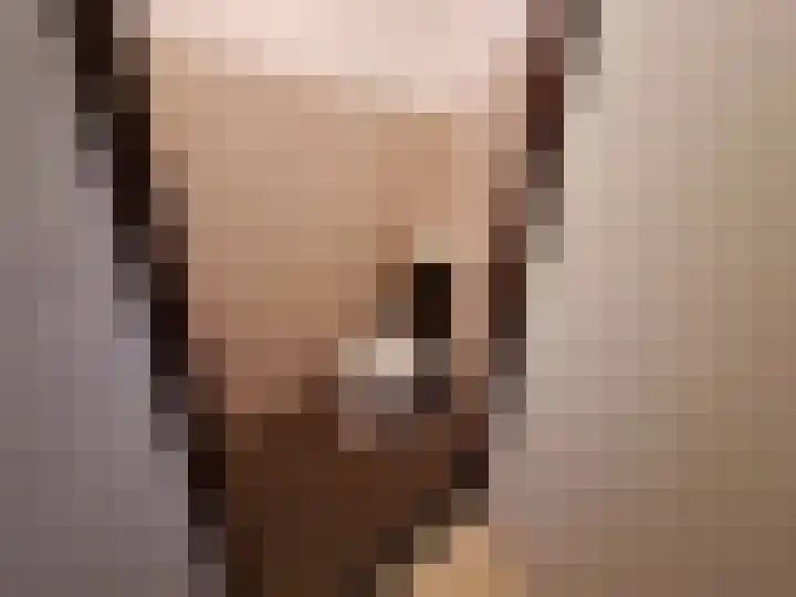 Klipper 20 Oud-Beijerland thumbnail 10