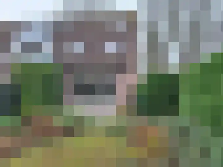 Klipper 20 Oud-Beijerland thumbnail 23