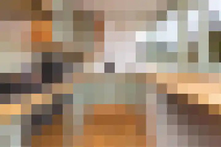 Klipper 23 Hoorn thumbnail 15
