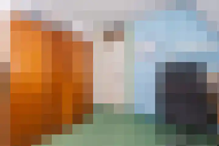 Klipper 23 Hoorn thumbnail 22