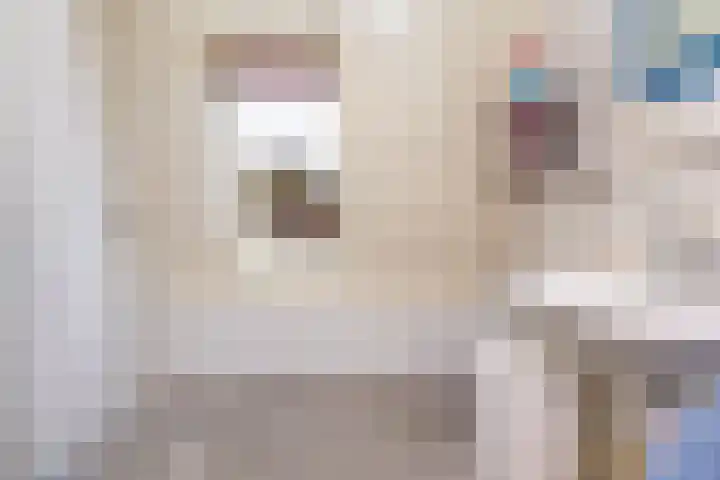 Klipper 23 Hoorn thumbnail 24