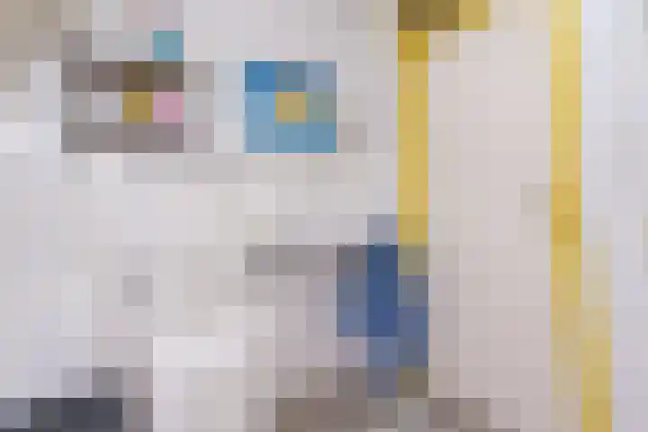 Klipper 23 Hoorn thumbnail 25