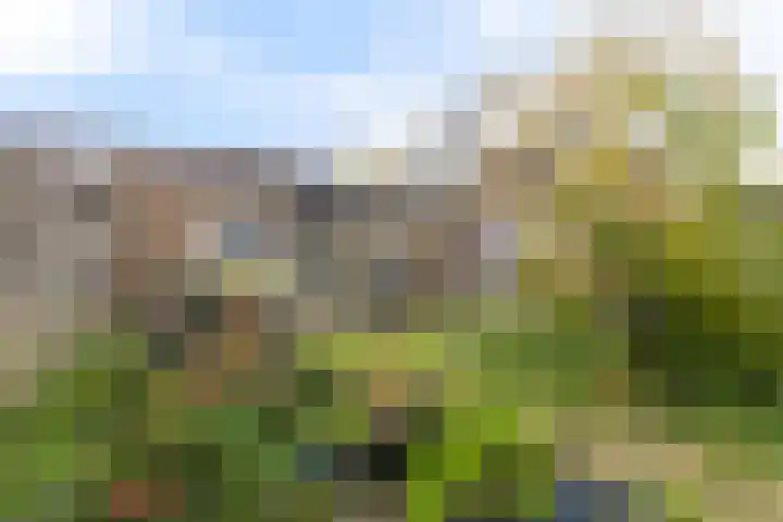 Klipper 23 Hoorn thumbnail 29