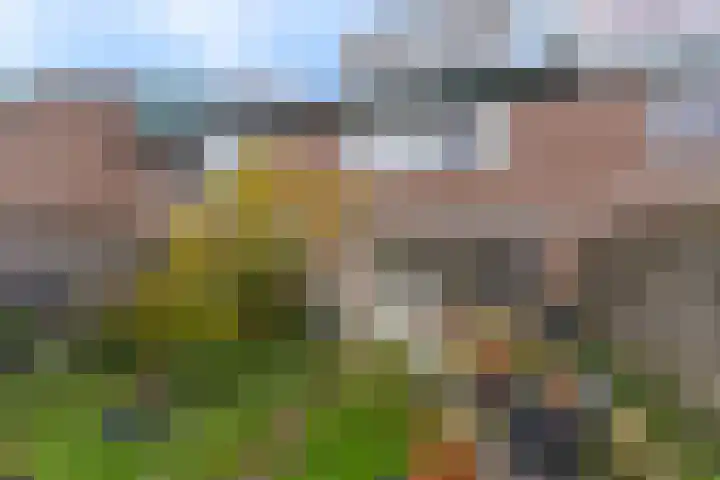 Klipper 23 Hoorn thumbnail 30