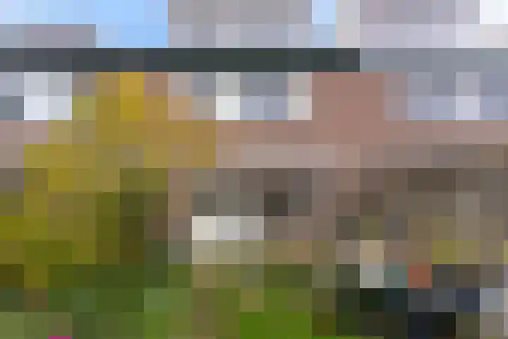 Klipper 23 Hoorn thumbnail 4