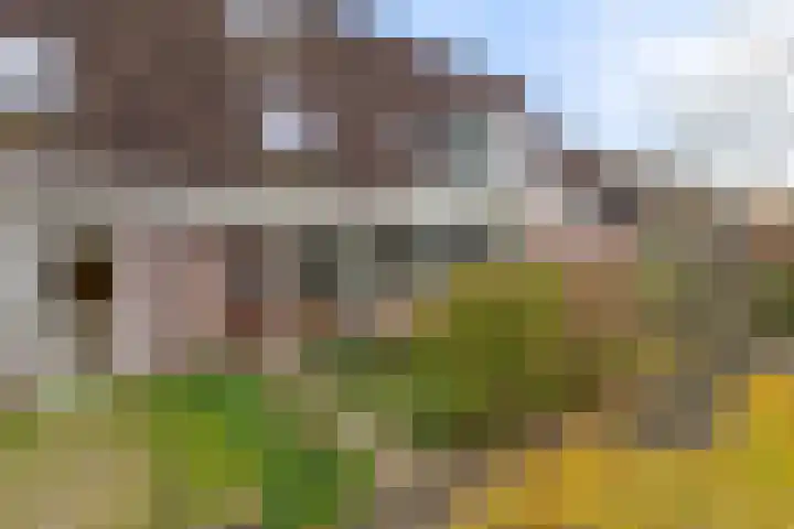 Klipper 23 Hoorn thumbnail 6