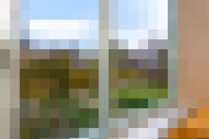 Klipper 23 Hoorn thumbnail 9
