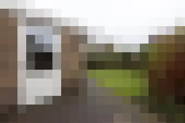 Klipper 23 Zuidhorn thumbnail 16