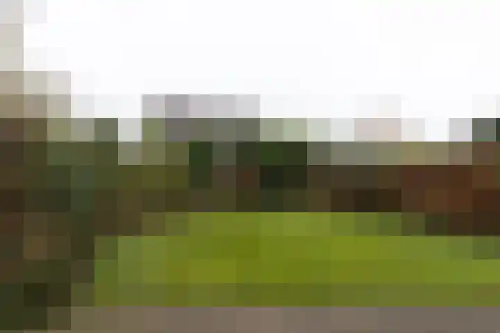 Klipper 23 Zuidhorn thumbnail 17