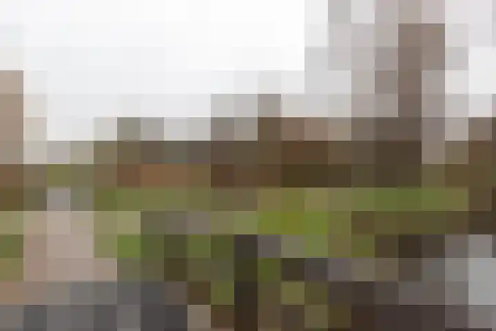 Klipper 23 Zuidhorn thumbnail 6
