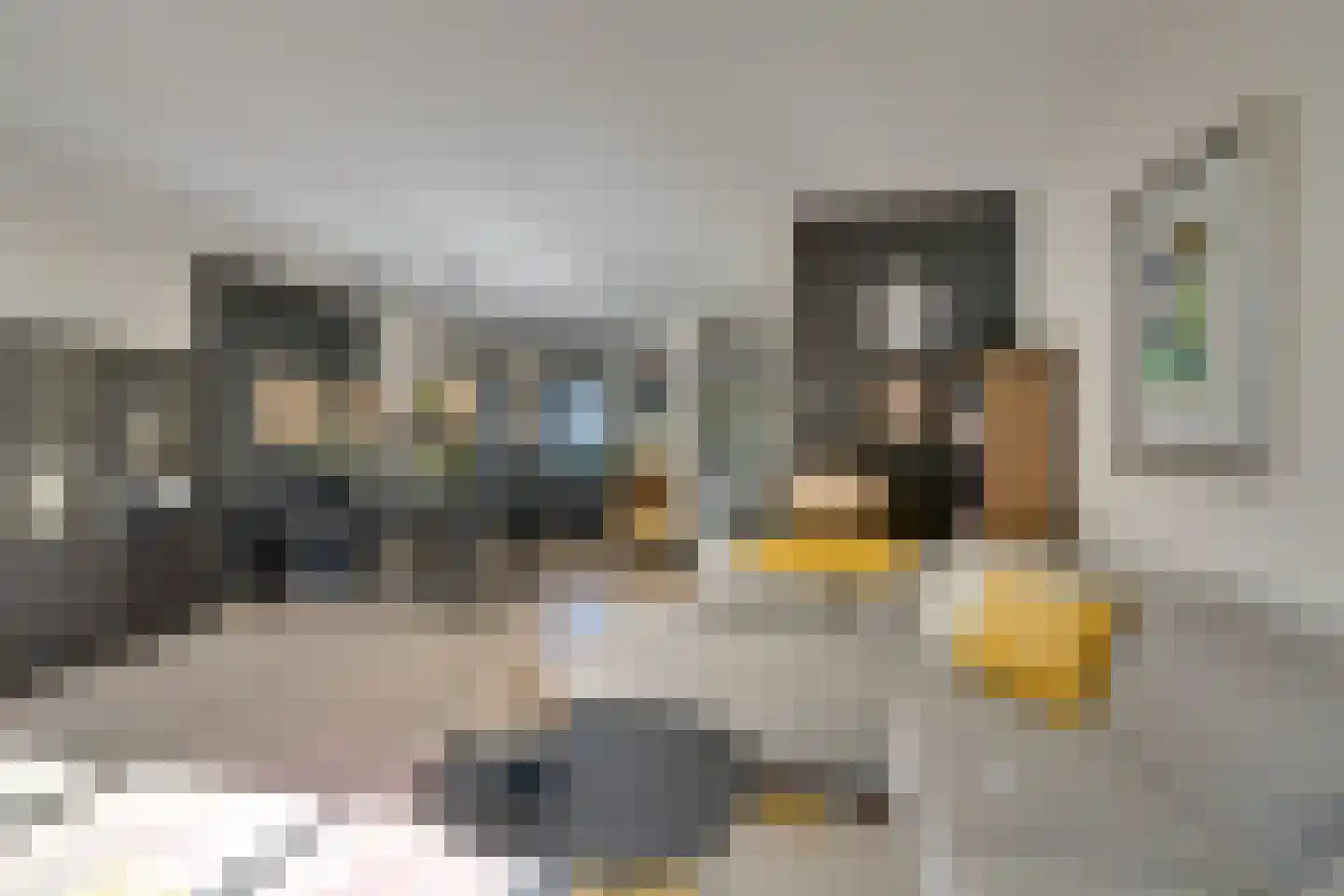 Klipper 24 De Rijp thumbnail 14