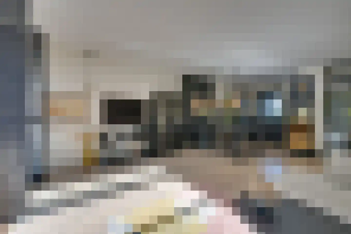 Klipper 24 De Rijp thumbnail 15