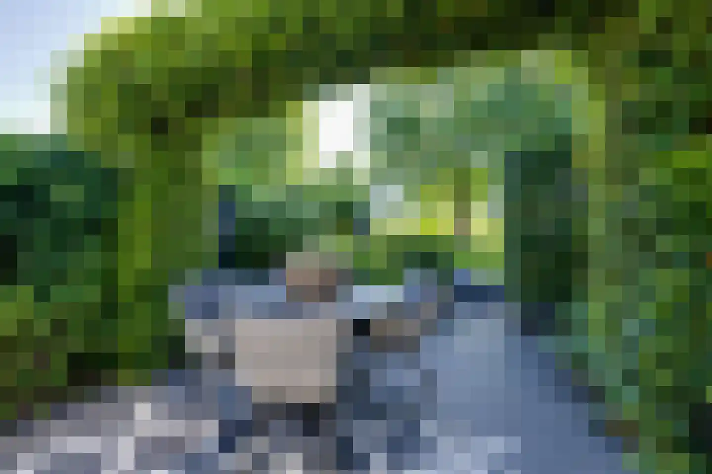 Klipper 24 De Rijp thumbnail 24
