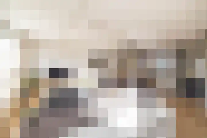 Klipper 24 Zuidhorn thumbnail 13