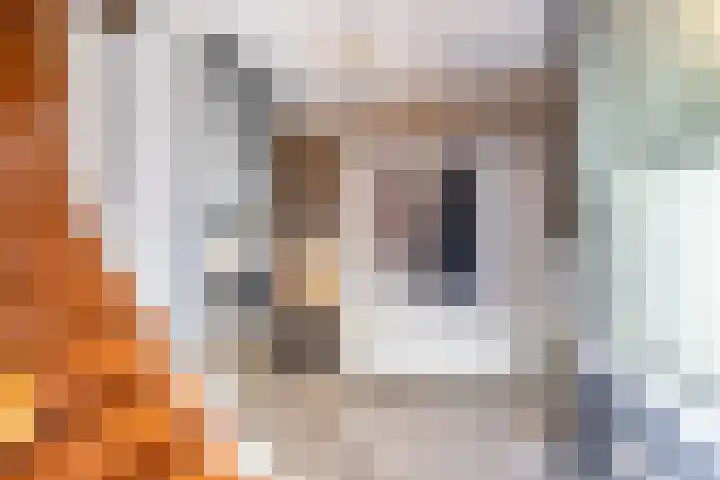 Klipper 24 Zuidhorn thumbnail 15