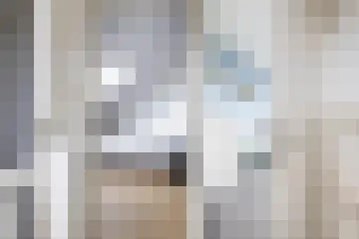 Klipper 24 Zuidhorn thumbnail 35