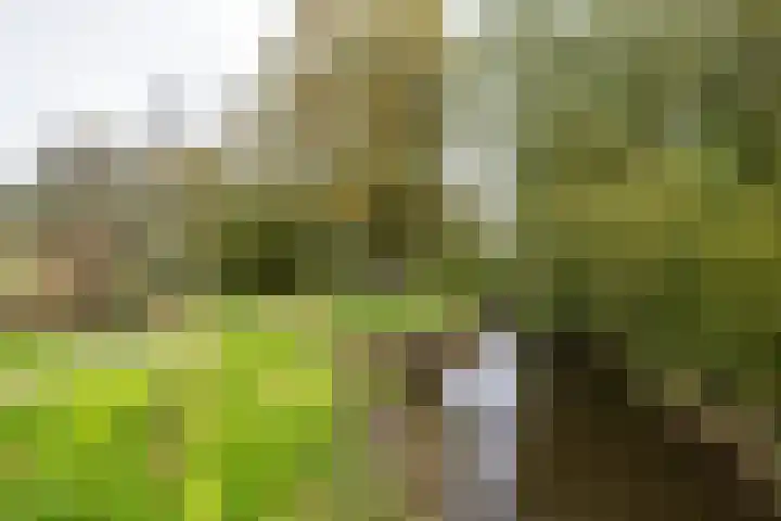 Klipper 24 Zuidhorn thumbnail 56