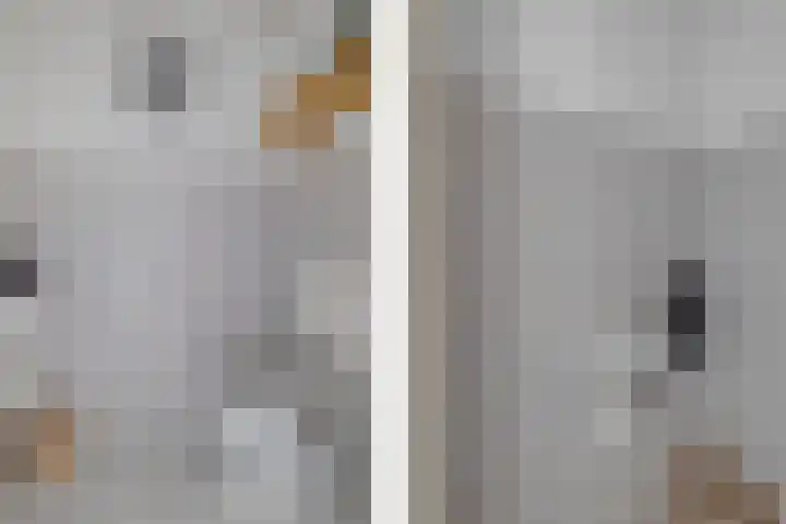 Klipper 3 Uithuizen thumbnail 10