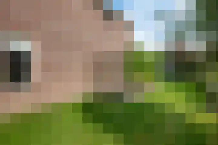 Klipper 3 Uithuizen thumbnail 33