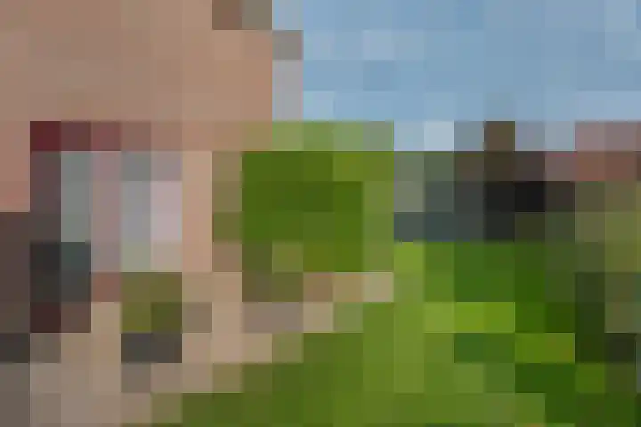 Klipper 3 Uithuizen thumbnail 34