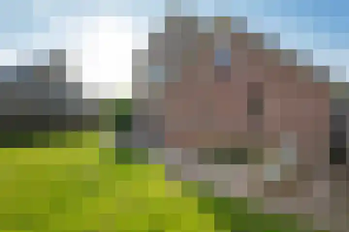 Klipper 3 Uithuizen thumbnail 36