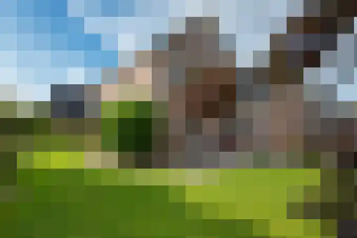 Klipper 3 Uithuizen thumbnail 6