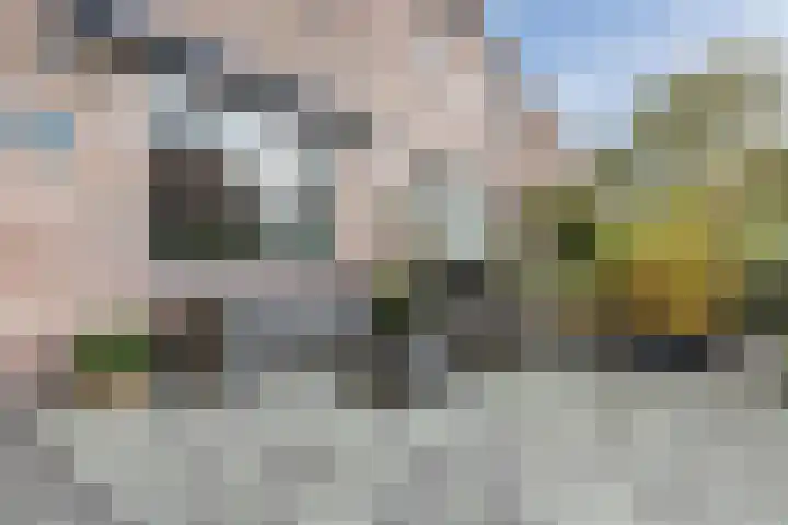 Klipper 32 Broek op Langedijk thumbnail 43
